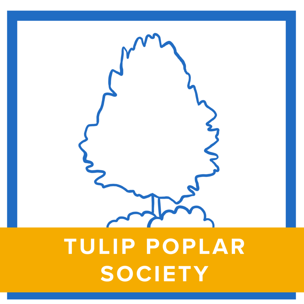 Tulip Poplar Society
